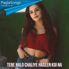 Tere Nalo Chaliye Haseen Koi Na Mp3 Tere Nalo Chaliye Haseen Koi Na Mp3
